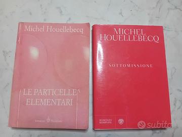 2 libri houellebecq