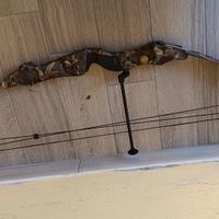 arco professionale Bear