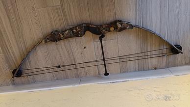 arco professionale Bear