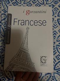 Dizionario lingua francese