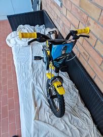 Bici Batman bambino