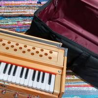 Harmonium indiano