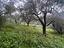 Immagine 6