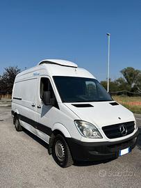 Mercedes Sprinter 313 CDI Isotermico Frigo