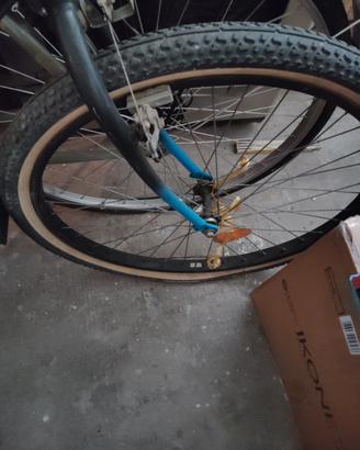Mountain bike 