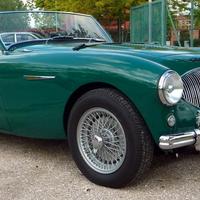 AUSTIN ROVER Altro modello