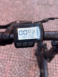 Bici pedalata assistita