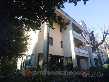 Negozio Perugia [AV2025-178VCG]