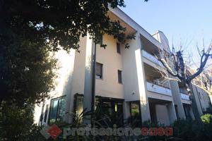 Negozio Perugia [AV2025-178VCG]