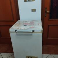 congelatore ignis