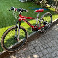 Mountain bike bambino 8-10 anni