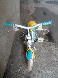 2 bici in buone condizioni 