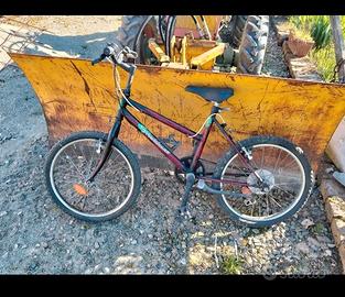 bicicletta