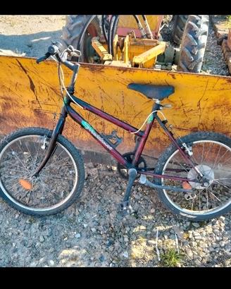 bicicletta