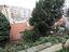 Immagine 7