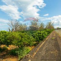 Terreno - Santa Venerina