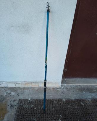 Canna da pesca Mitchell Challenge T-300 Pole + mul