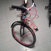 Bicicletta ragazza