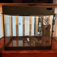 Acquario Oase styleline 85L nero