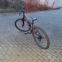 bicicletta