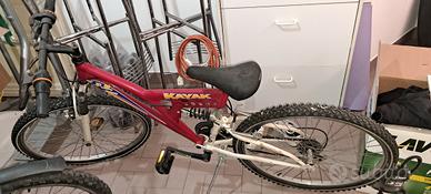 Bicicletta ammortizzata ruota 26