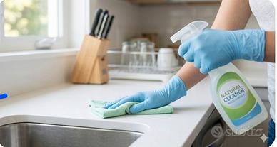 Addetta alle pulizie