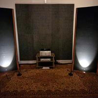Diffusori elettrostatici Full-Range KS KING III