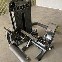 Leg Curl + Extension Machine (Nuovo)