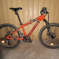bici ragazzo mtb