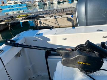 Affondatore elettrico pesca