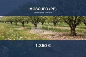 Immobile in asta di 2980 m² a Moscufo