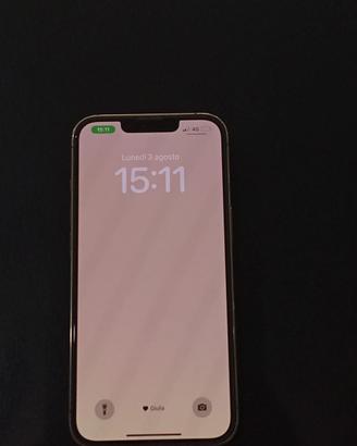iPhone 13 pro