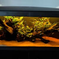 acquario completo o  parziale