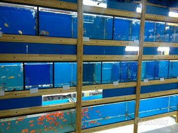 Attività commerciale