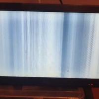 mini TV 10 pollici TREVI guasto