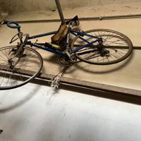 Bicicletta uomo