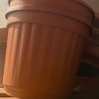 Vasi in plastica