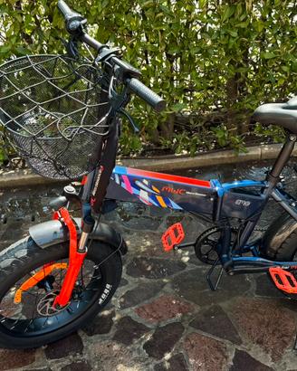 Fat bike elettrica