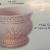 Vaso Castor