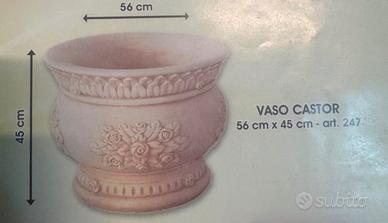 Vaso Castor