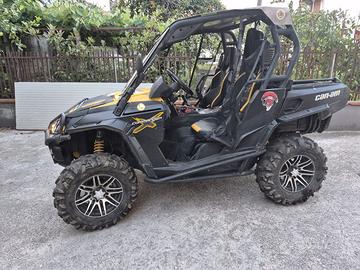 can-am 1000