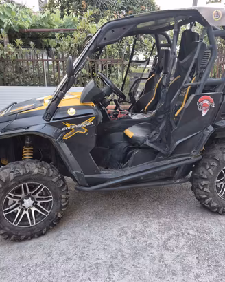 can-am 1000