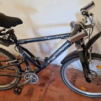 Mountain bike