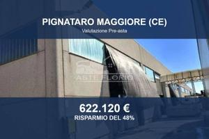 Immobile in asta di 2843 m² a Pignataro Maggiore