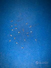 X20 viti originali per samsung galaxy note 9