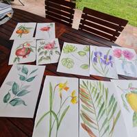 dipinti  ad acquerello