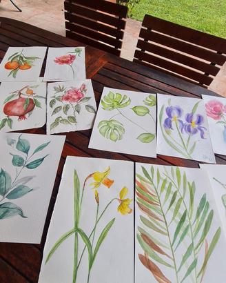 dipinti  ad acquerello