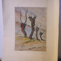 Ritratto collina del monferrato fatto a mano