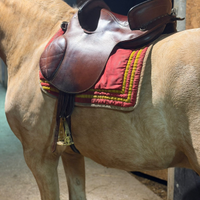 Sella per cavalli frisoni /spagnoli