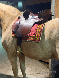 Sella per cavalli frisoni /spagnoli